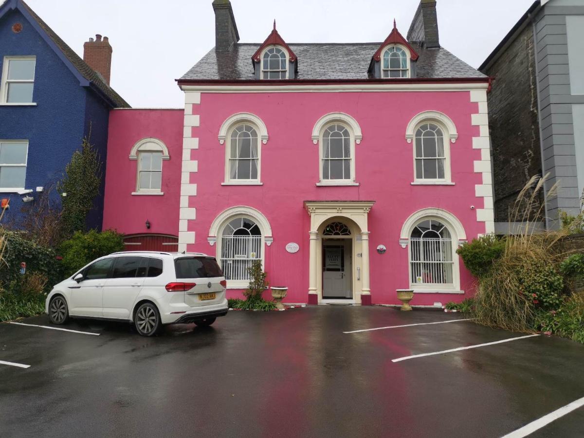 Llety Teifi Guest House 卡迪根 外观 照片