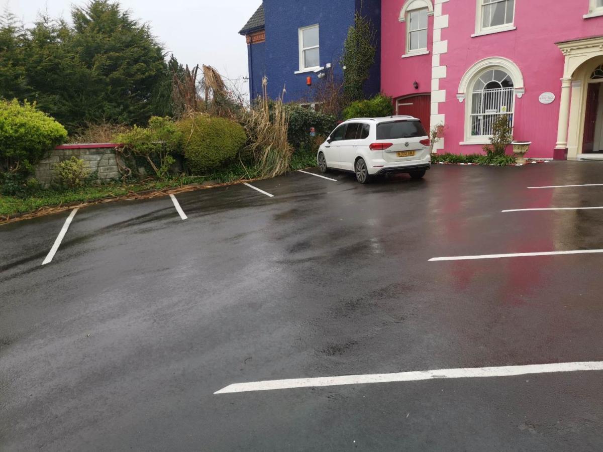 Llety Teifi Guest House 卡迪根 外观 照片