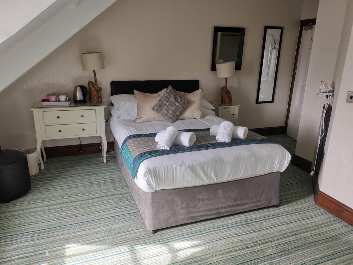Llety Teifi Guest House 卡迪根 外观 照片