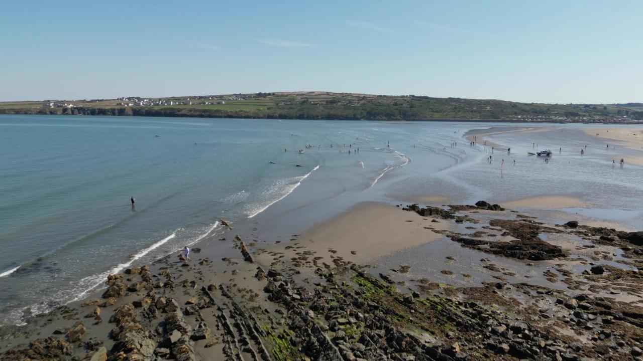 Llety Teifi Guest House 卡迪根 外观 照片