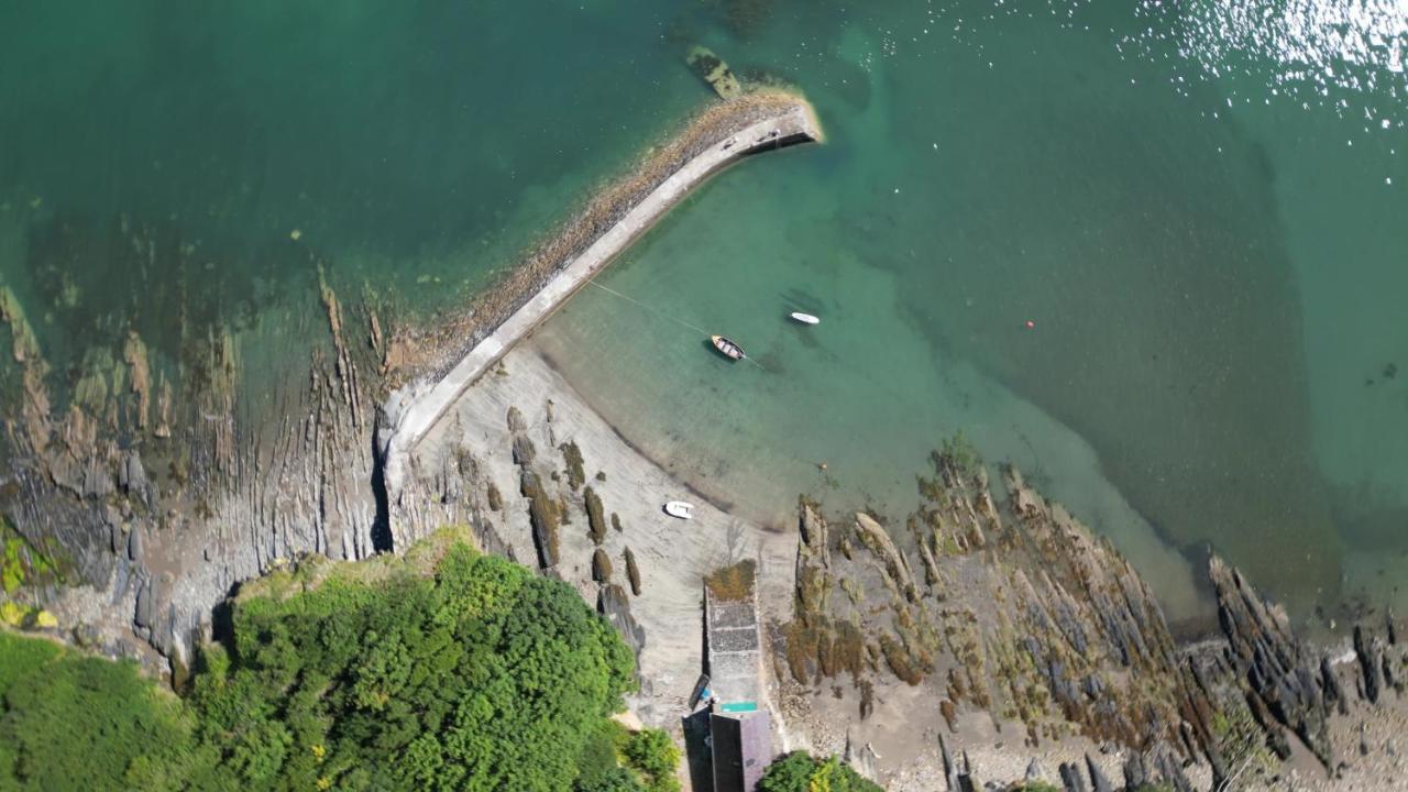 Llety Teifi Guest House 卡迪根 外观 照片