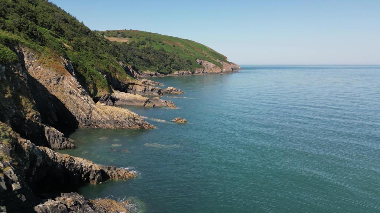 Llety Teifi Guest House 卡迪根 外观 照片