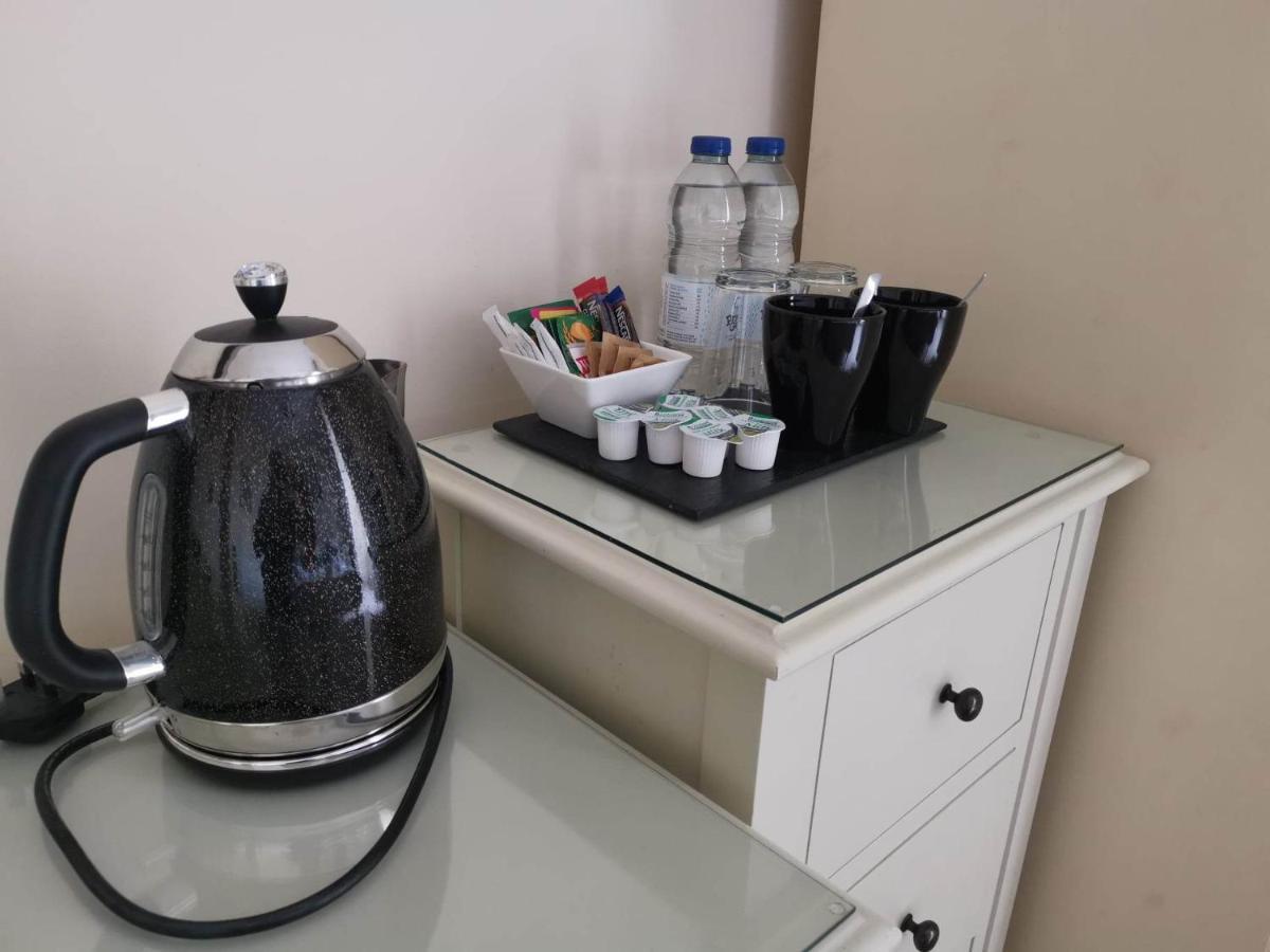 Llety Teifi Guest House 卡迪根 外观 照片