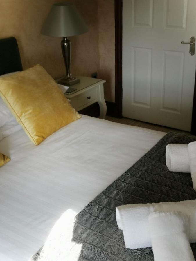 Llety Teifi Guest House 卡迪根 外观 照片